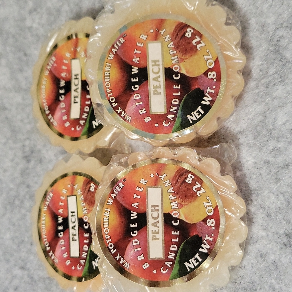 Bridgewater Wax Potpourri Wafer NIP